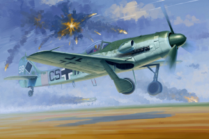 Model Hobby Boss 81719 Focke-Wulf FW 190D-12 