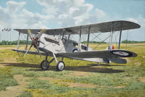 De Havilland DH4a (Passenger) model Roden 431 in 1-48