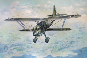 Arado Ar 68F-1 model Roden 454 in 1-48