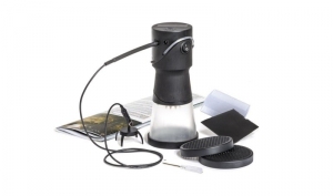 Static King Woodland Scenics FS639