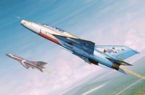 Model fighter MiG-21UM in scale 1:48