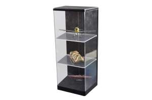Display Case 165mmL x 120mm W x 360mm H Trumpeter 09847 