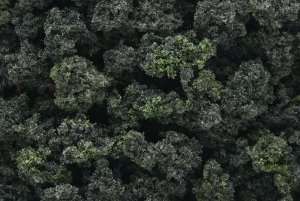 Bushes Forest Blend FC149 - 412cm3