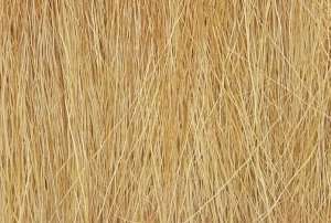 Field Grass Harvest Gold 8g Woodland FG172