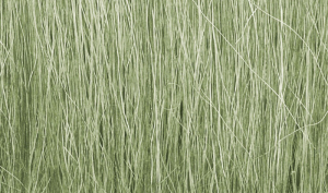 Field Grass Light Green 8g Woodland FG173