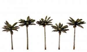 Palm Trees Woodland TR3597