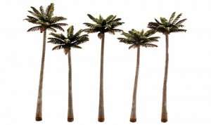 Palm Trees Woodland TR3598