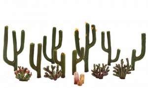 Cactus Plants Woodland TR3600