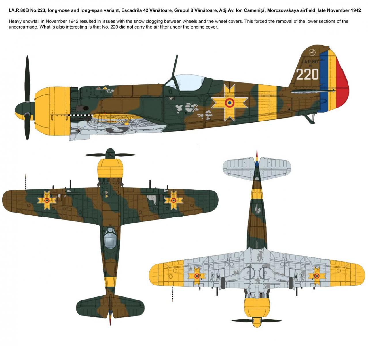-image_IBG Models_72567_3