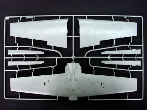 -image_Trumpeter_02410_5