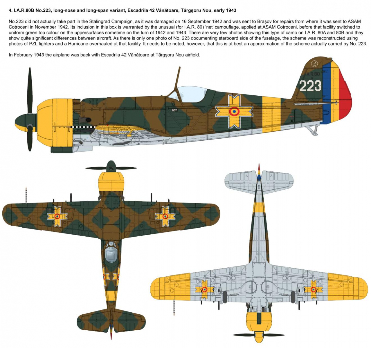 -image_IBG Models_72567_5