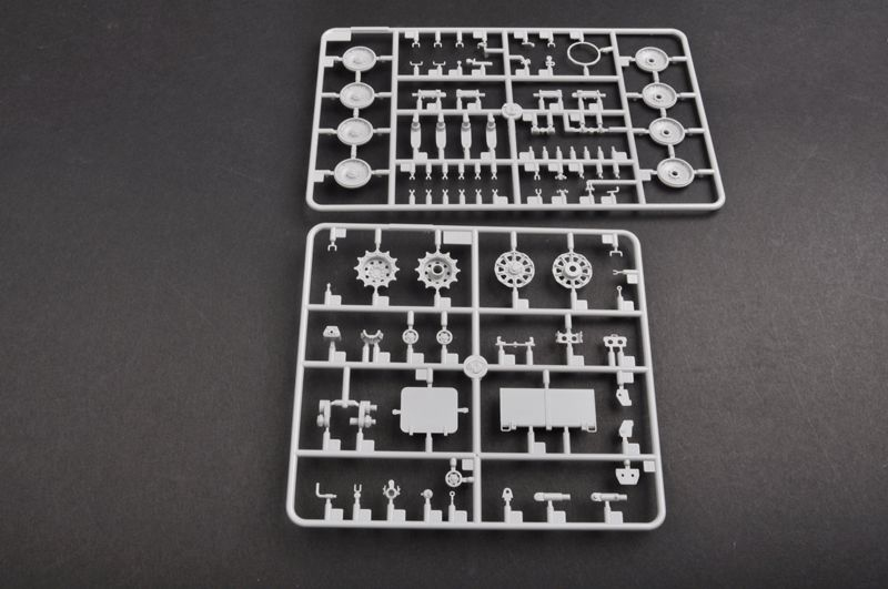 -image_Trumpeter_01597_8