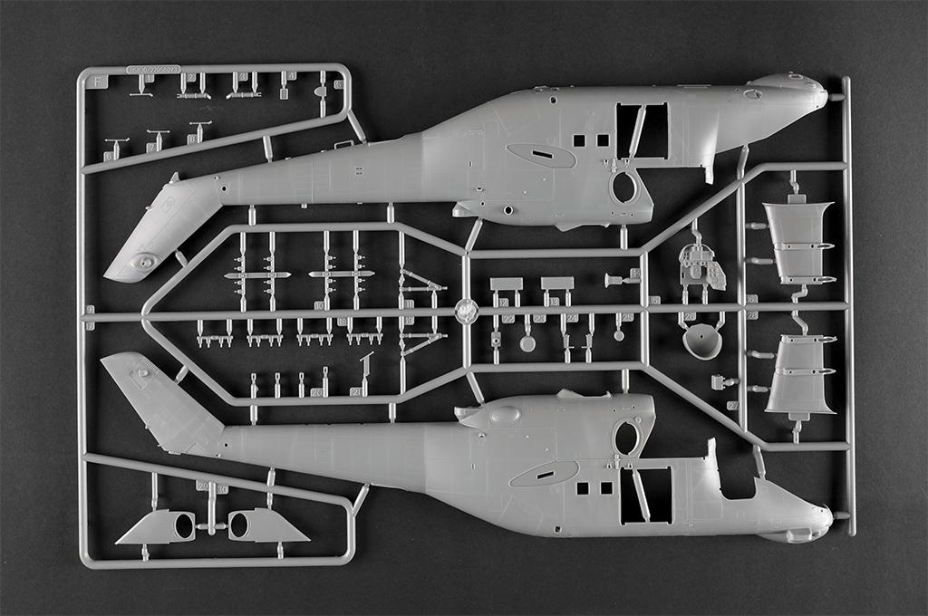 -image_Trumpeter_05830_12