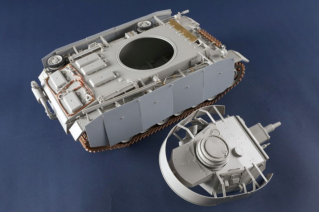 -image_Trumpeter_00956_8