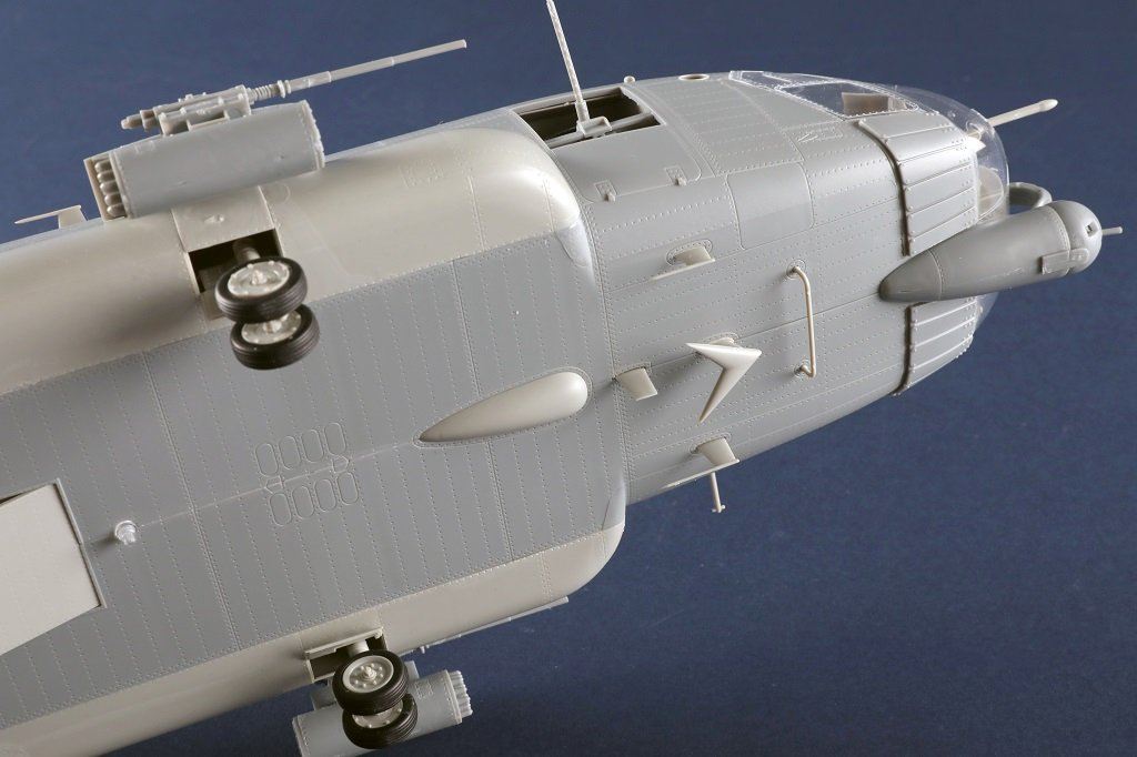 -image_Trumpeter_05113_13