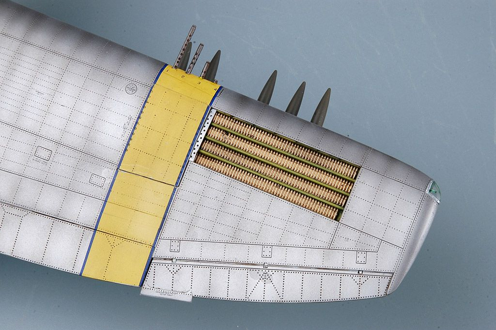 -image_Trumpeter_02265_13