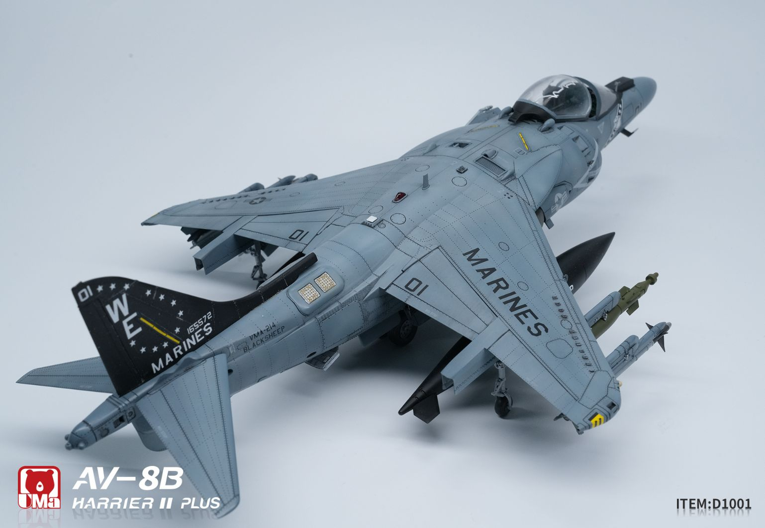 -image_UMa MODEL_D1001_10