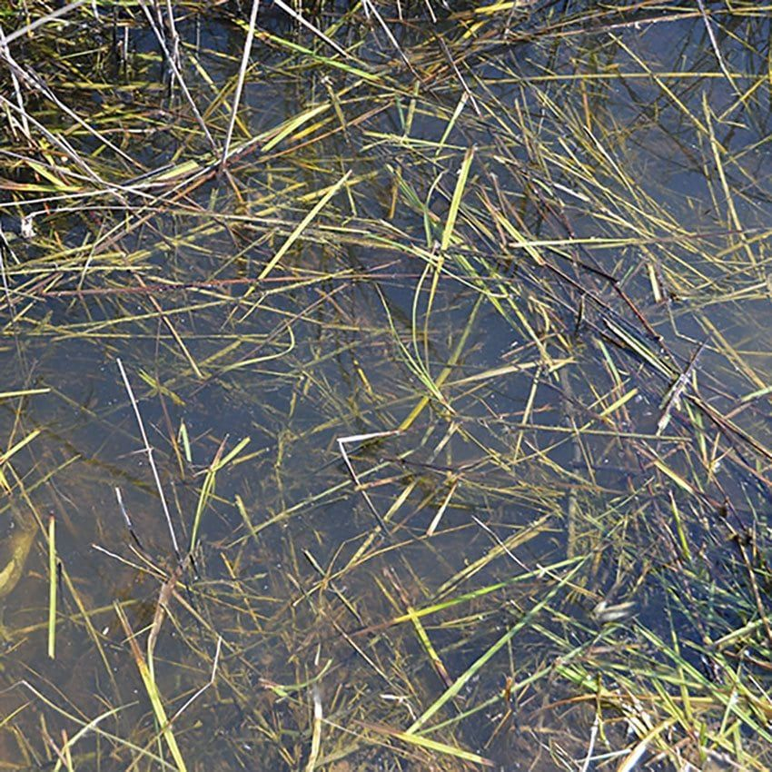 -image_AK Interactive_AK8008_2