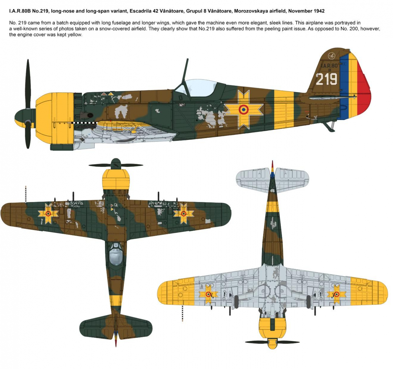 -image_IBG Models_72567_4