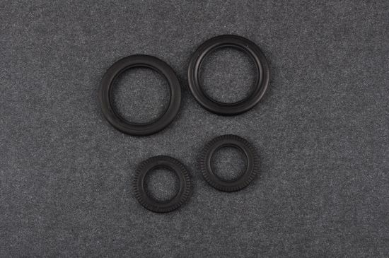 -image_Trumpeter_02343_11