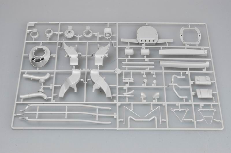 -image_Trumpeter_02265_7