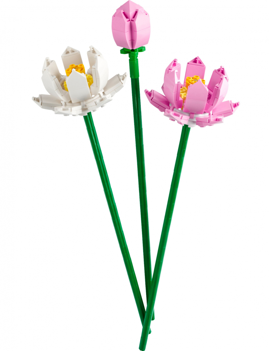 -image_LEGO_Lego40647_2