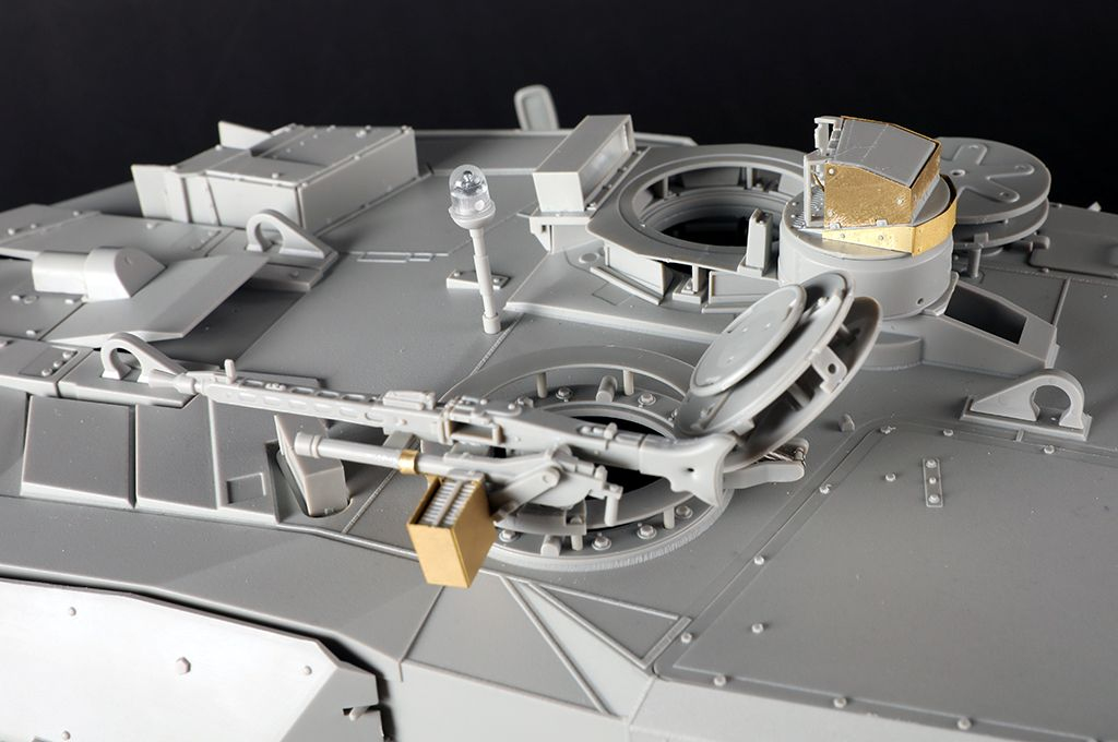 -image_Trumpeter_00966_15