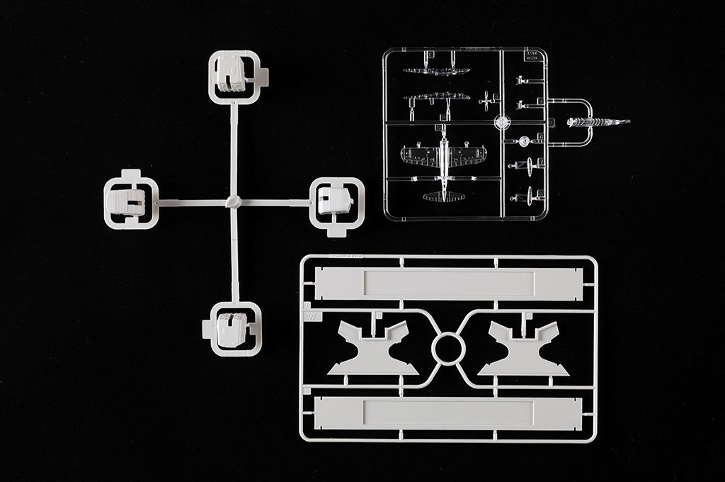 -image_Trumpeter_03722_14