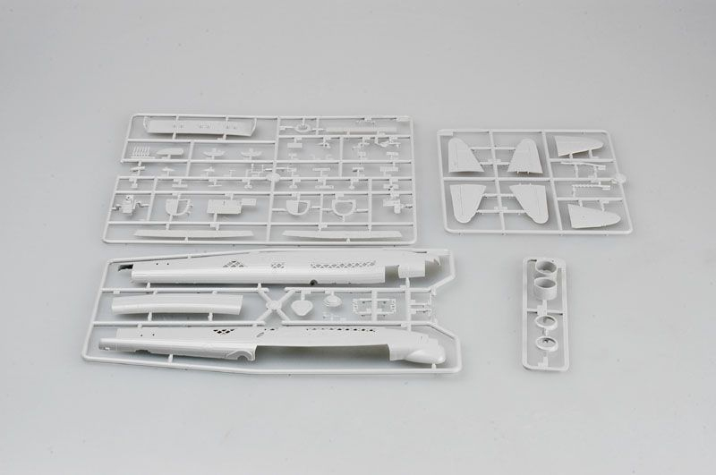 -image_Trumpeter_01633_5