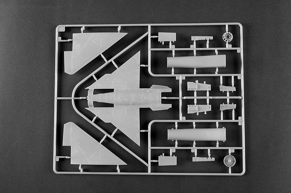 -image_Trumpeter_01690_17