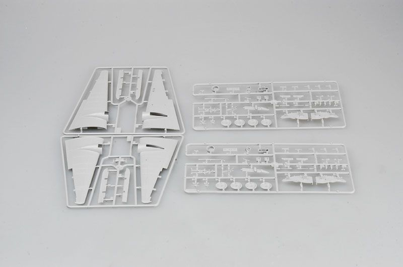 -image_Trumpeter_01633_6