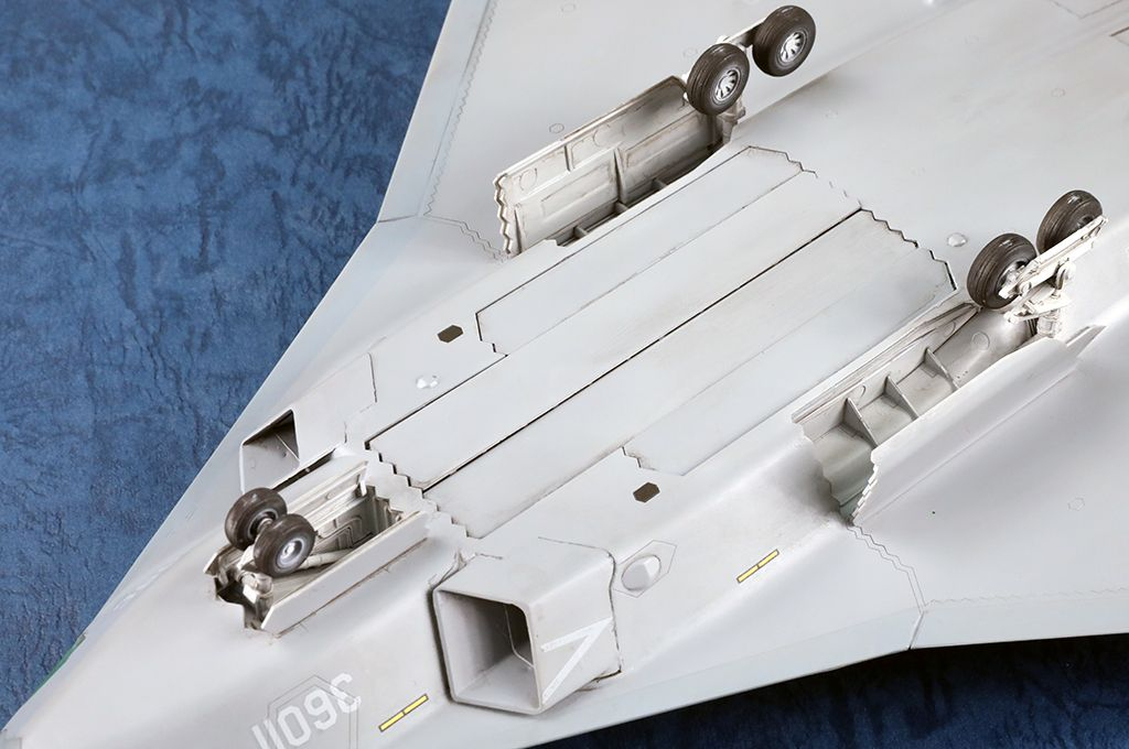 -image_Trumpeter_01689_11