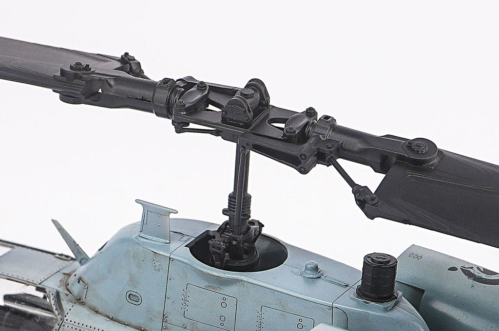 -image_Trumpeter_05117_11