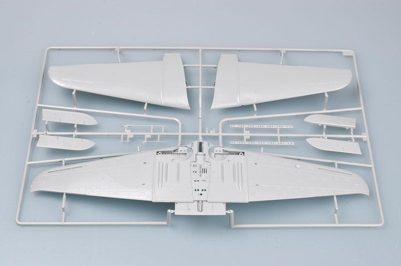 -image_Trumpeter_02244_9