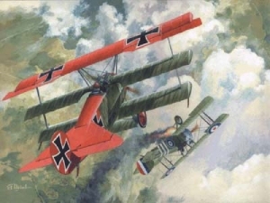 3 płatowy myśliwiec Fokker Dr.I Roden 010