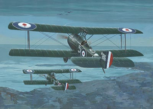 Roden 407 Sopwith 1 1/2 Strutter comic f 1/48 