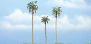 Drzewa - palmy 3 szt - Woodland TR1617