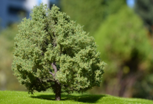 Drzewo dąb model 12 - 16 cm Freon nr DAB2