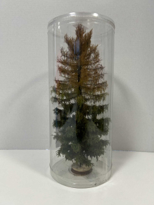 Drzewo modrzew suchy pełny model 18 - 20 cm Freon nr MSUP1 