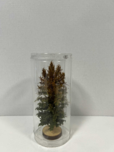 Drzewo modrzew suchy pełny model 8 - 12 cm Freon nr MSUP3 