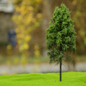 Drzewo modrzew europejski pień wysoki leśny model 8 - 12 cm Freon nr MPW3