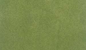 Mata trawiasta - Spring Grass - Woodland RG5131