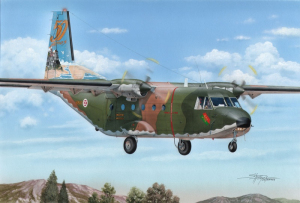 Special Hobby SH72376 Samolot Casa C-212-100