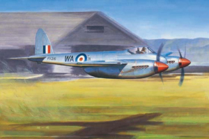 Trumpeter 02893 De Havilland Hornet F.1 1/48