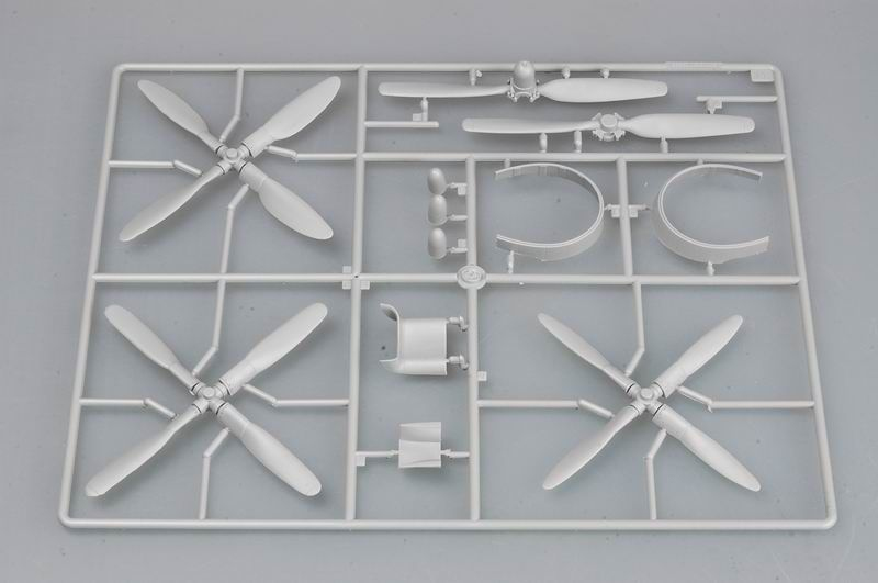 -image_Trumpeter_02265_4