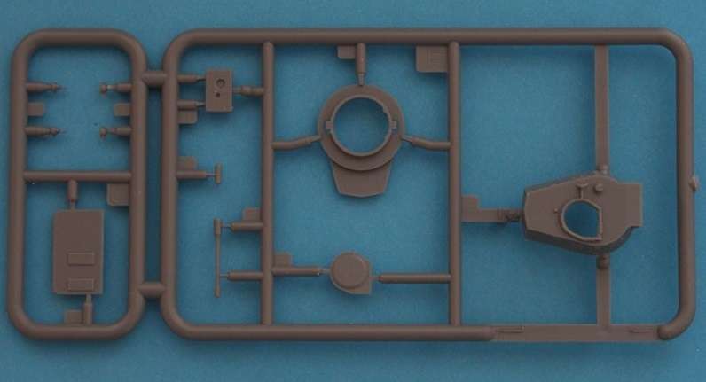 -image_IBG Models_72030_3