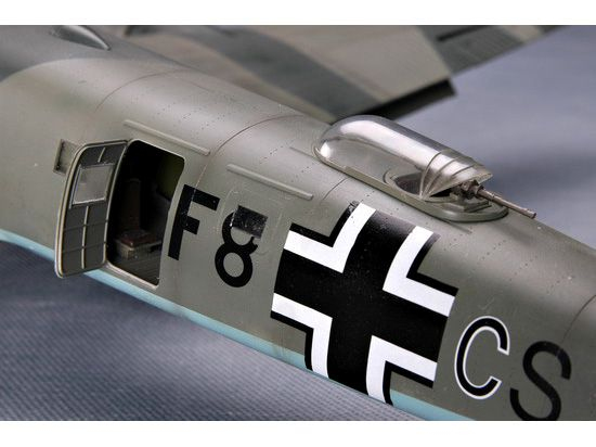 -image_Trumpeter_02814_5