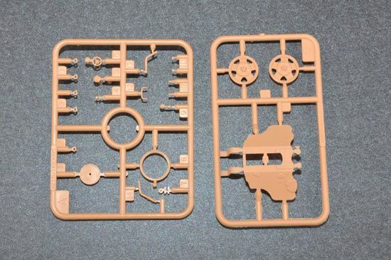 -image_Trumpeter_02340_6