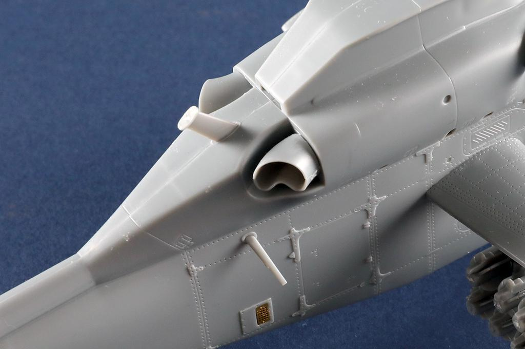 -image_Trumpeter_05851_11