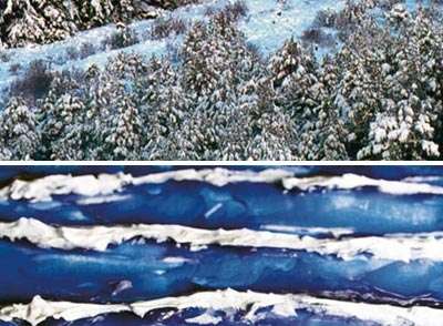 -image_Vallejo_26231_4